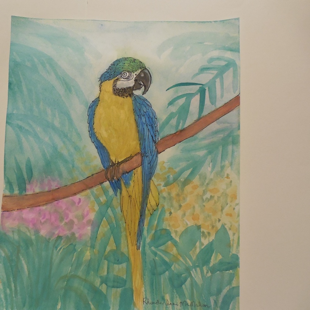 Original Watercolor Macaw Parrot HAND CRAFTED Painting